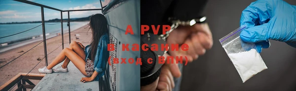 спиды Великий Новгород