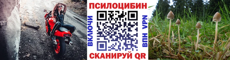 OMG рабочий сайт  Усолье  Псилоцибиновые грибы мицелий 
